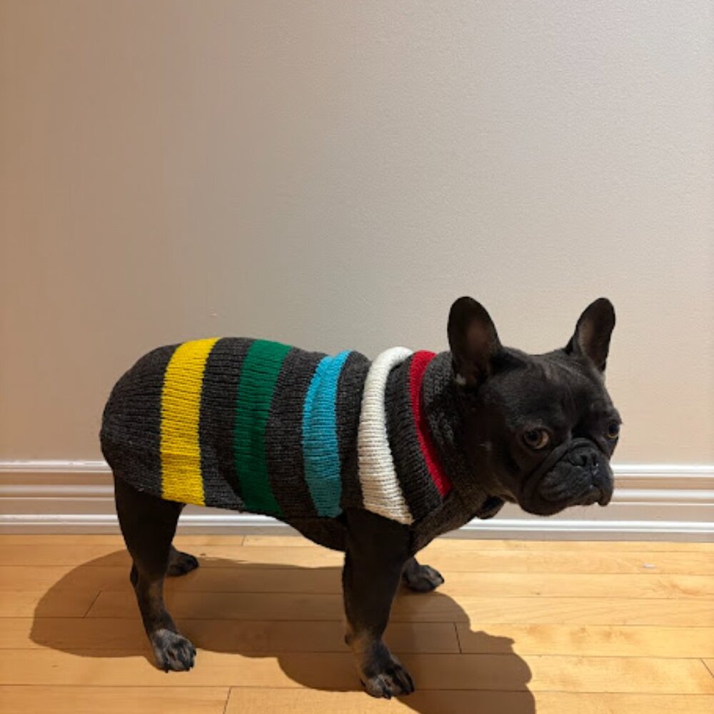 100% Cozy Warm Wool Sweaters for your Dog - Charcoal Stripe Design